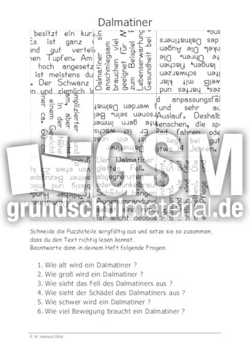 Dalmatiner.pdf